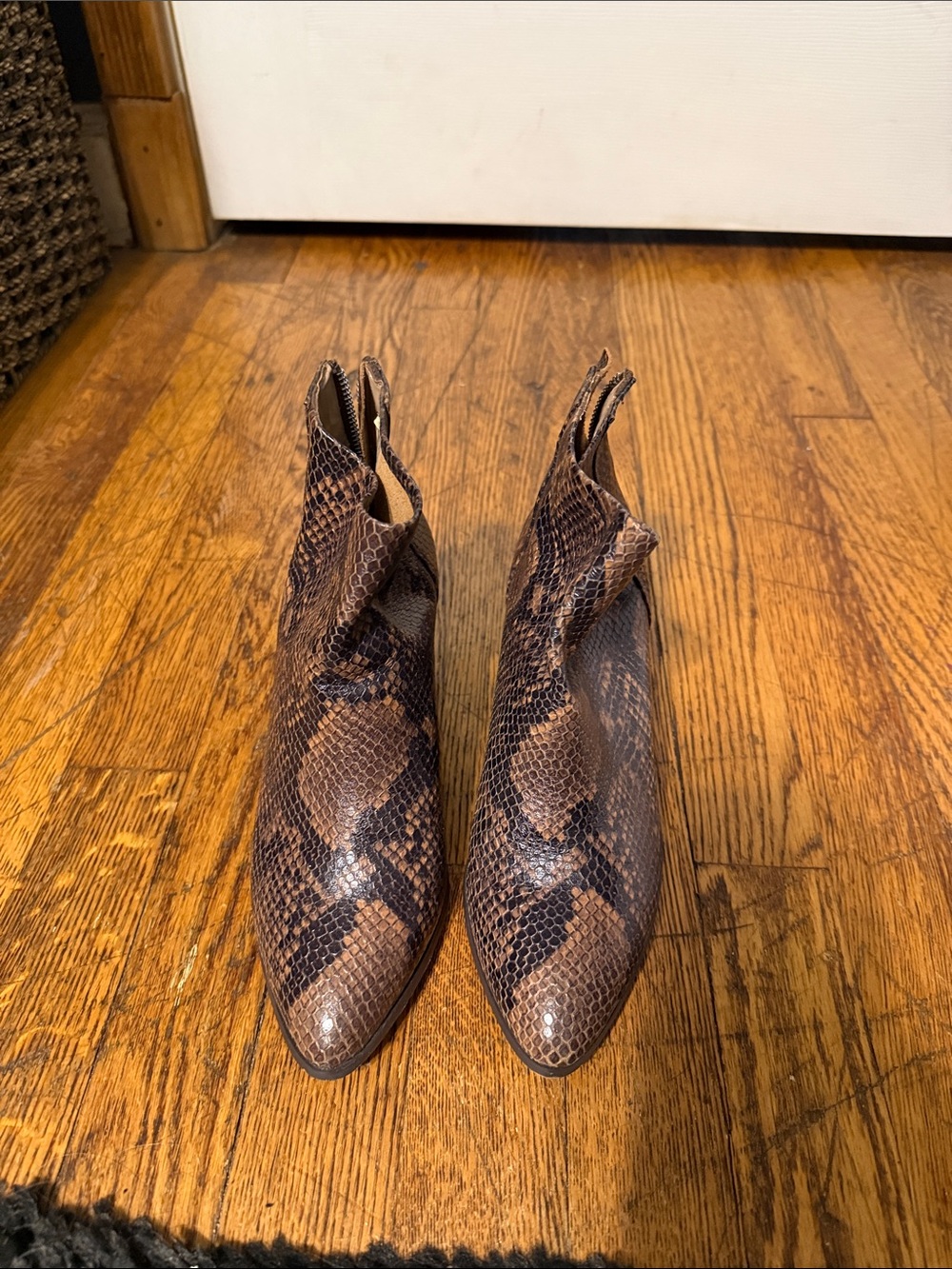 Steve Madden Brown Snake-Print Pointed Ankle Boots